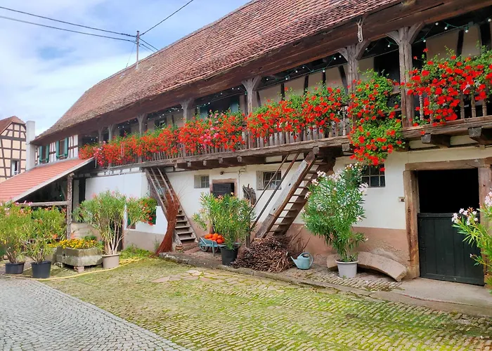 Chambres d'hôtes de charme à la ferme Freysz